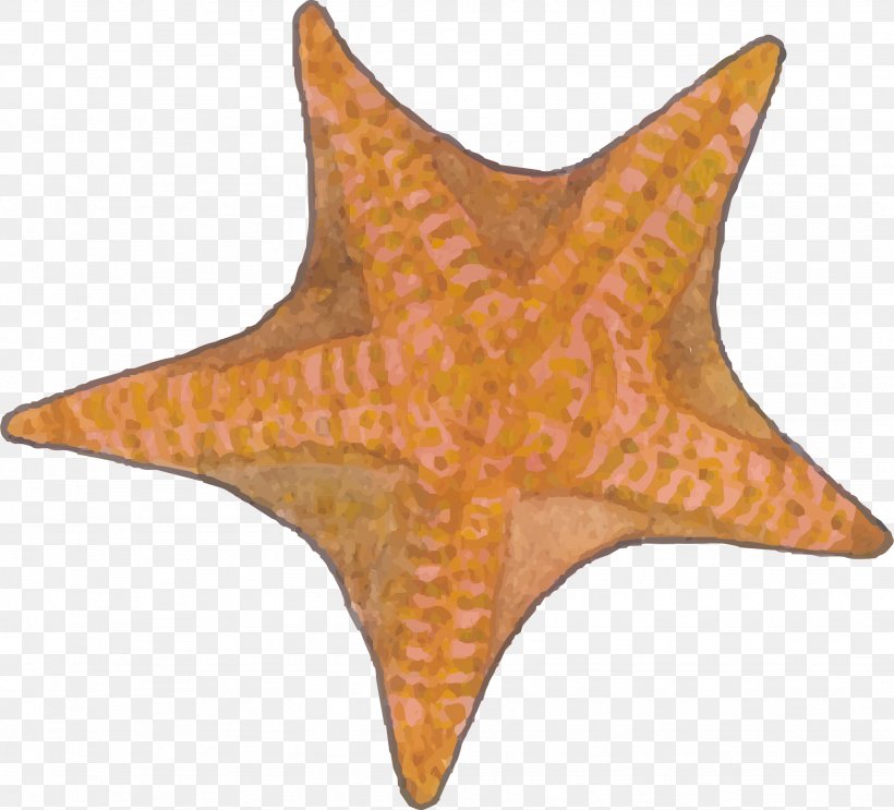 Starfish Euclidean Vector, PNG, 1947x1765px, Starfish, Designer, Echinoderm, Gratis, Invertebrate Download Free