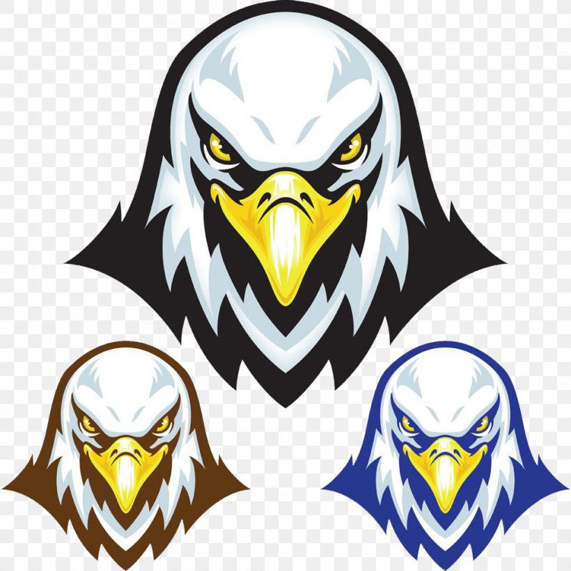 Bald Eagle Stock Illustration Mascot, PNG, 1000x1000px, Bald Eagle, Accipitridae, Art, Beak, Bird Download Free