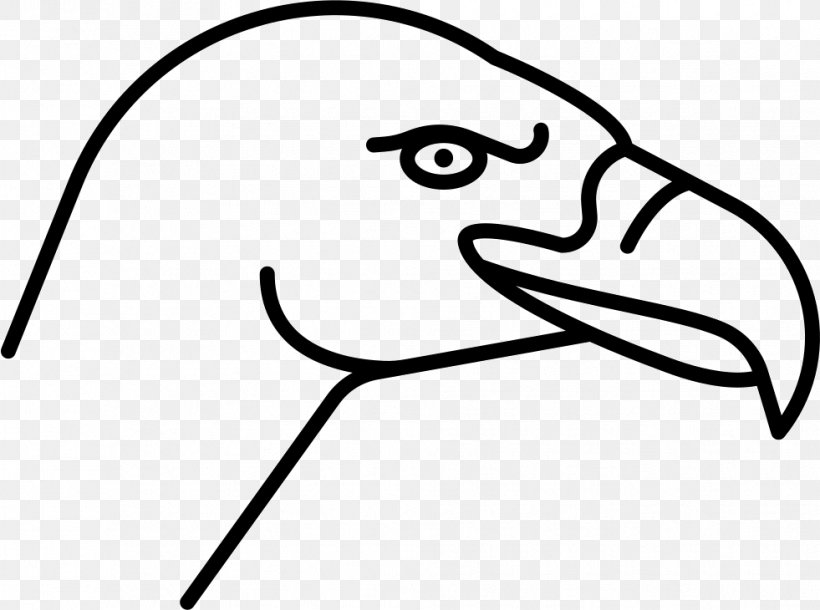 Bird Beak Vulture Clip Art, PNG, 981x730px, Bird, Animal, Area, Artwork, Beak Download Free