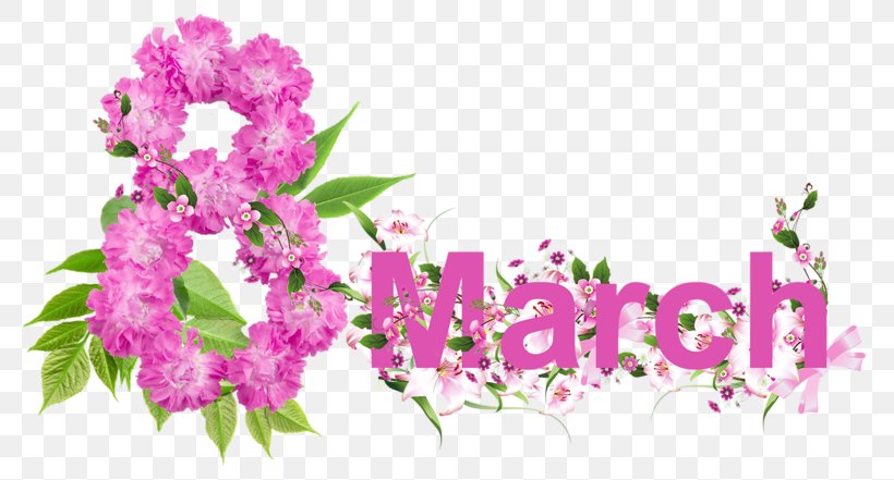 International Women's Day Woman March 8 Happiness, PNG, 800x441px, International Women S Day, Blossom, Branch, Cut Flowers, Flora Download Free