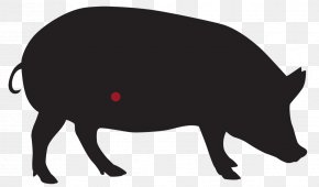Bacon - Domestic Pig Boudin Pork Blood Sausage Ramen PNG