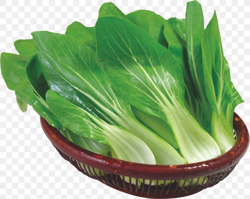 Romaine Lettuce Choy Sum Spring Greens Vegetable, PNG, 1594x1272px, Romaine Lettuce, Bok Choy, Cabbage, Chinese Cabbage, Choy Sum Download Free