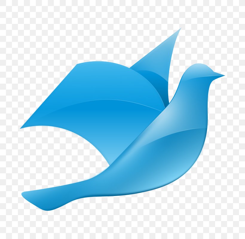 Columbidae Doves As Symbols Clip Art, PNG, 800x800px, Columbidae, Azure, Beak, Blue, Blue Pigeon Download Free