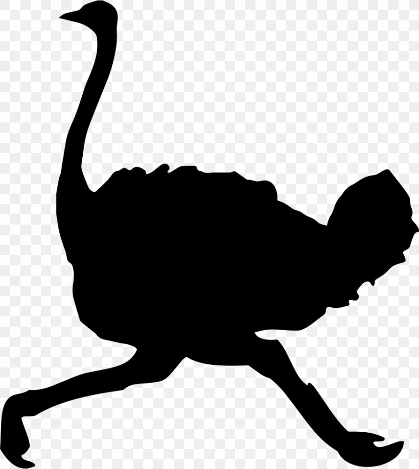 Common Ostrich Bird Clip Art Vector Graphics Silhouette, PNG, 876x982px, Common Ostrich, Animal, Beak, Bird, Black And White Download Free