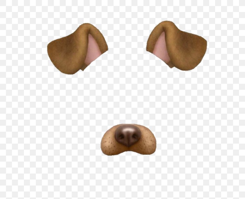 Dog Puppy Snapchat Clip Art, PNG, 620x665px, Dog, Bit, Camera, Dancing Hot Dog, Ear Download Free