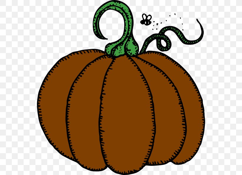 Halloween Pumpkins Clip Art Vector Graphics Jack-o'-lantern, PNG, 570x594px, Halloween Pumpkins, Artwork, Calabaza, Commodity, Cucurbita Download Free
