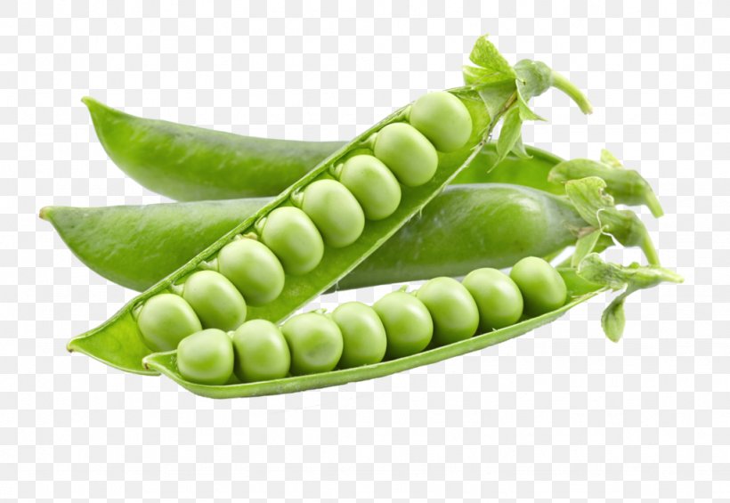 Snap Pea Lentil Vegetable, PNG, 1024x706px, Nutrient, B Vitamins, Biotin, Black Turtle Bean, Dietary Fiber Download Free