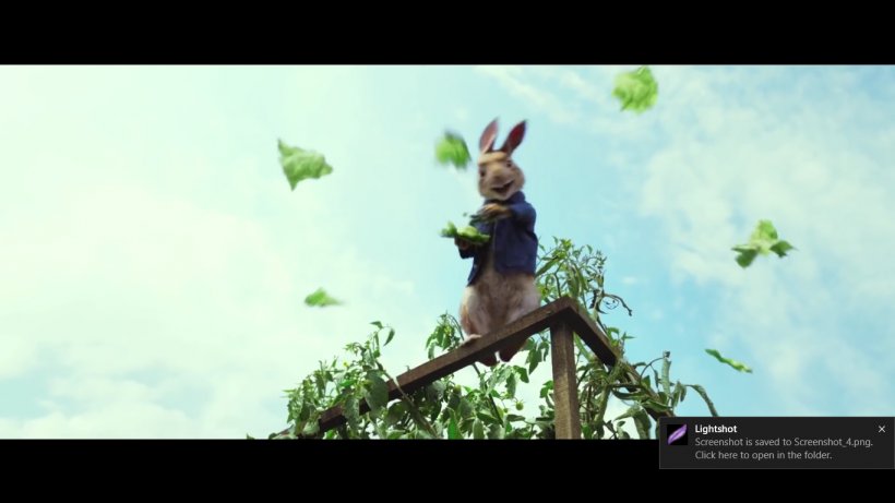 The Tale Of Peter Rabbit Mr. McGregor Child Picture Book, PNG, 1366x768px, Tale Of Peter Rabbit, Animation, Beatrix Potter, Birth, Branch Download Free