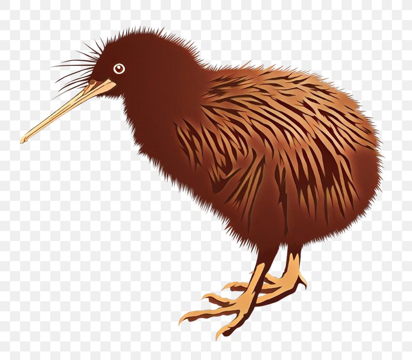 Clip Art Kiwi Openclipart Bird, PNG, 800x717px, Kiwi, Art, Beak, Bird, Common Ostrich Download Free