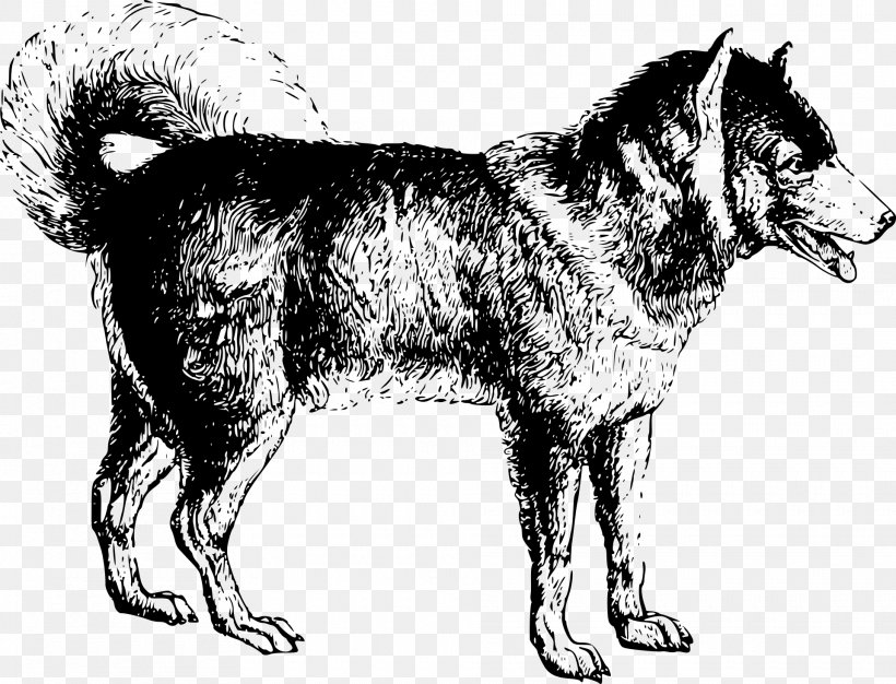 Dog, PNG, 1920x1468px, Dog, Alaskan Malamute, Black And White, Carnivoran, Dog Breed Download Free