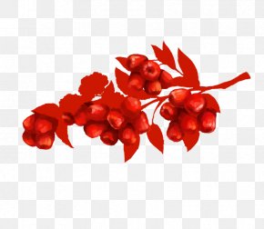 Dates - Fruit Jujube Food PNG