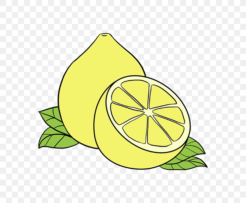 Lemon Lime Clip Art Drawing Juice, PNG, 680x678px, Lemon, Citron, Citrus, Drawing, Fruit Download Free