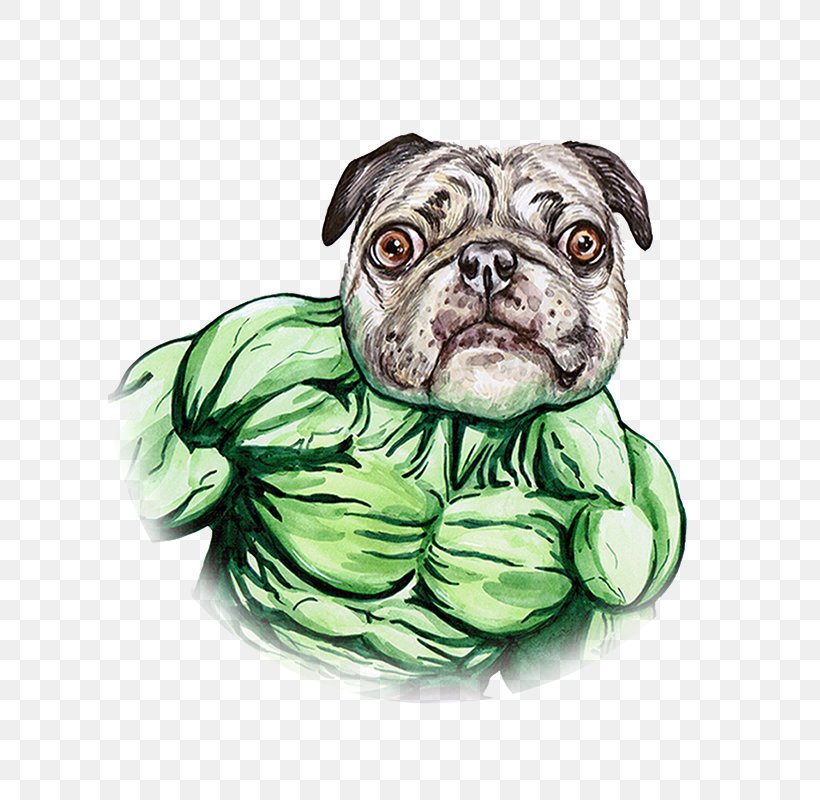 Pug Hulk Puppy, PNG, 800x800px, Pug, Carnivoran, Dog, Dog Breed, Dog Like Mammal Download Free
