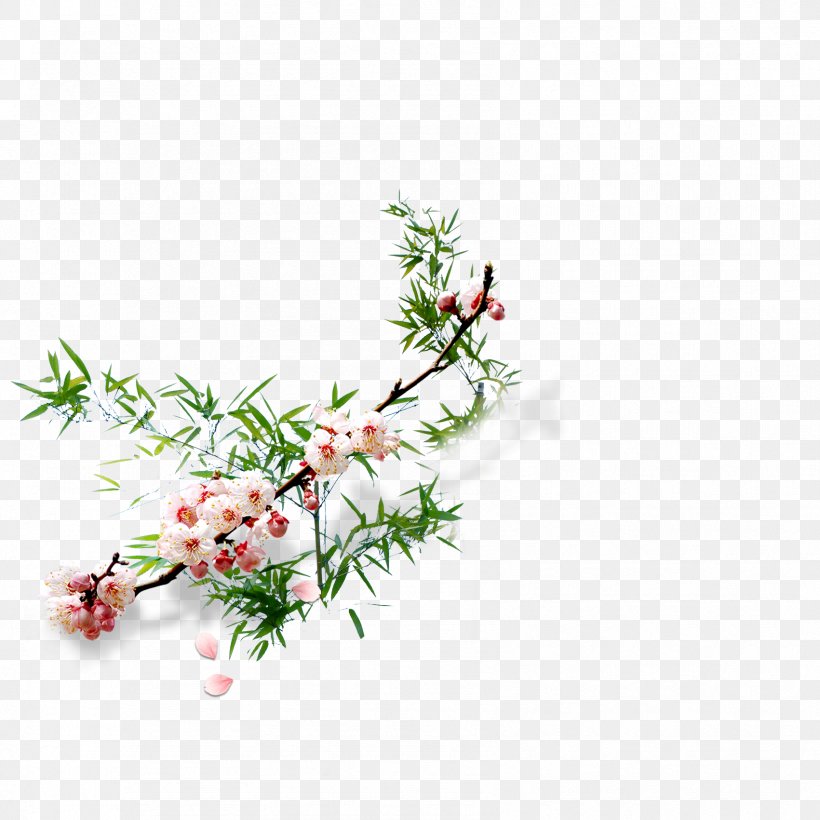 Bamboo Drawing Plum Blossom, PNG, 1701x1701px, Bamboo, Apricot, Branch, Drawing, Flora Download Free