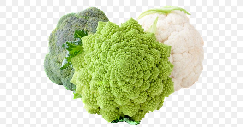 Cauliflower Broccoli Chou Capitata Group Vegetable, PNG, 600x429px, Cauliflower, After, Brassica Oleracea, Broccoflower, Broccoli Download Free