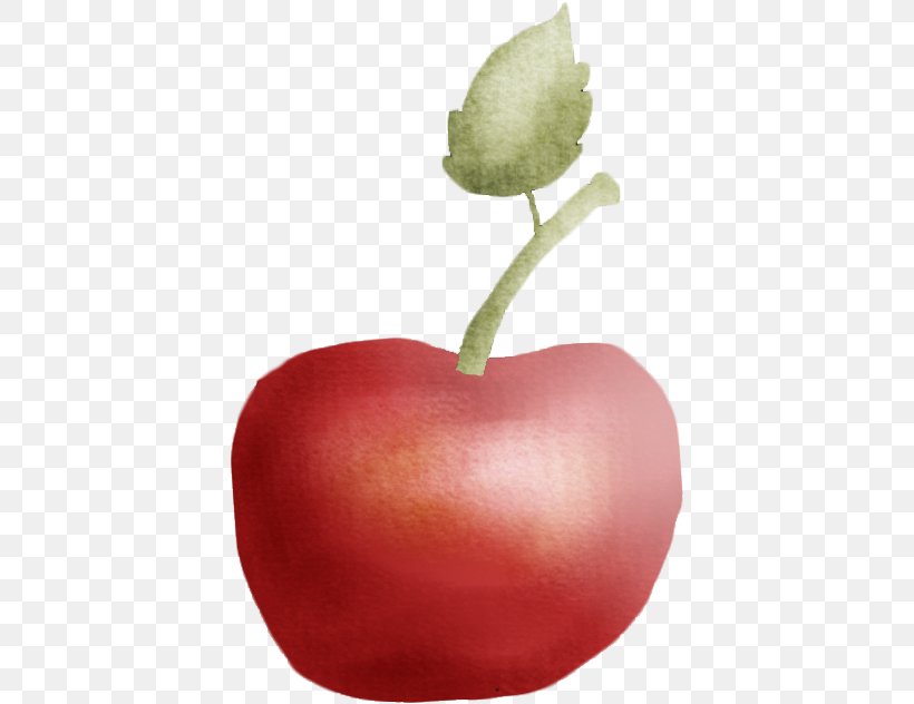 Apple Auglis, PNG, 406x632px, Apple, Auglis, Food, Fruit, Heart Download Free