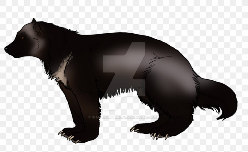 Bear Mustelids Fur Terrestrial Animal Wildlife, PNG, 900x553px, Bear, Animal, Carnivoran, Fauna, Fur Download Free