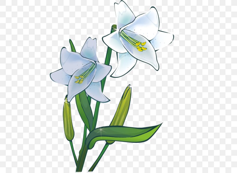 Lilium Drawing Plant Flower Clip Art, PNG, 476x600px, Lilium, Amaryllis Family, Artwork, Cell Wall, Cut Flowers Download Free