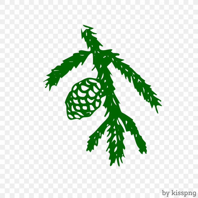 Pine Cone, Winter, Holiday., PNG, 1500x1500px, Drawing, Branch, Christmas Day, Conifer, Doodle Download Free