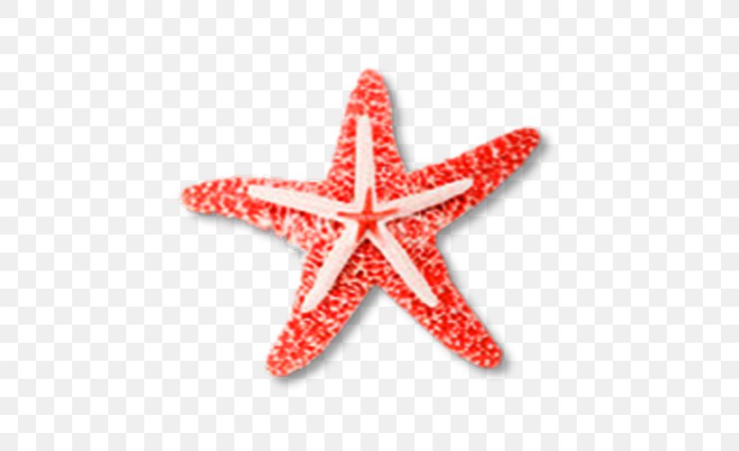 Starfish Euclidean Vector Clip Art, PNG, 500x500px, Starfish, Bit, Chart, Echinoderm, Element Download Free