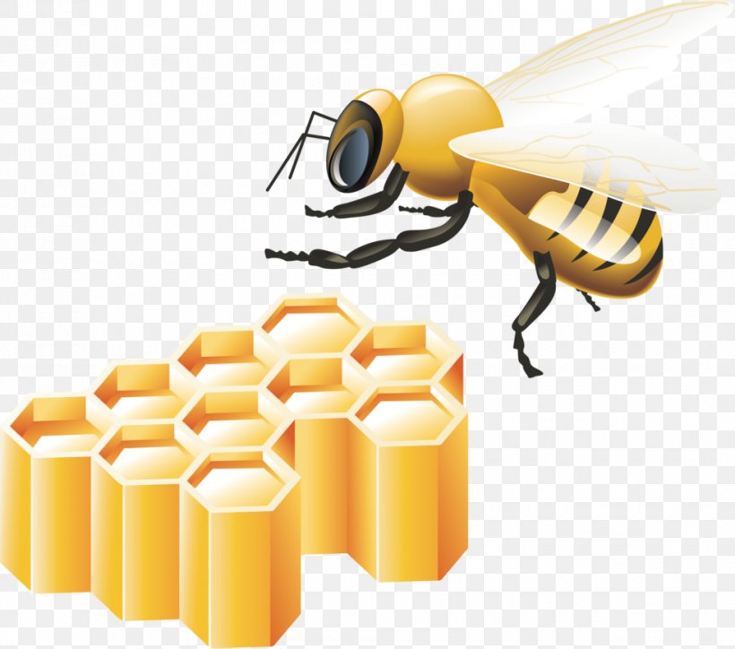 Bee, PNG, 980x866px, Bee, Honey, Honey Bee, Honeycomb, Insect Download Free