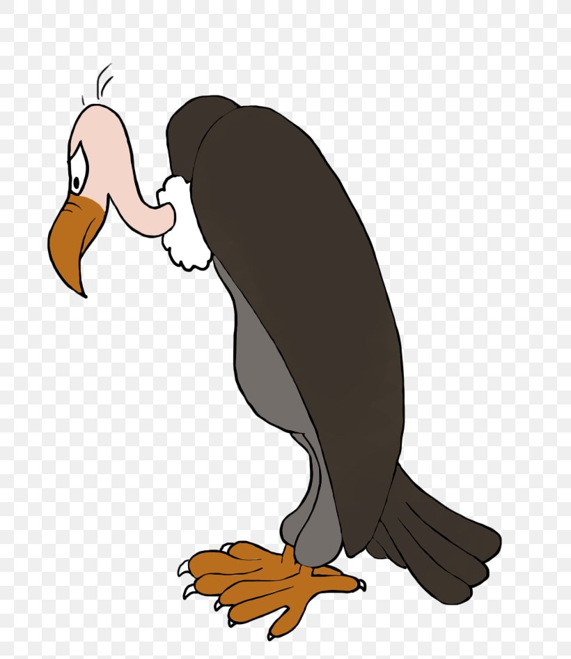 Duck Beaky Buzzard Turkey Vulture Clip Art, PNG, 747x945px, Duck, Beak, Beaky Buzzard, Bird, Bird Of Prey Download Free
