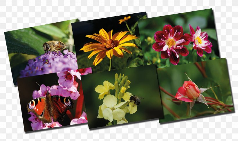 Floral Design Picture Frames, PNG, 1890x1122px, Floral Design, Flora, Floristry, Flower, Flower Arranging Download Free