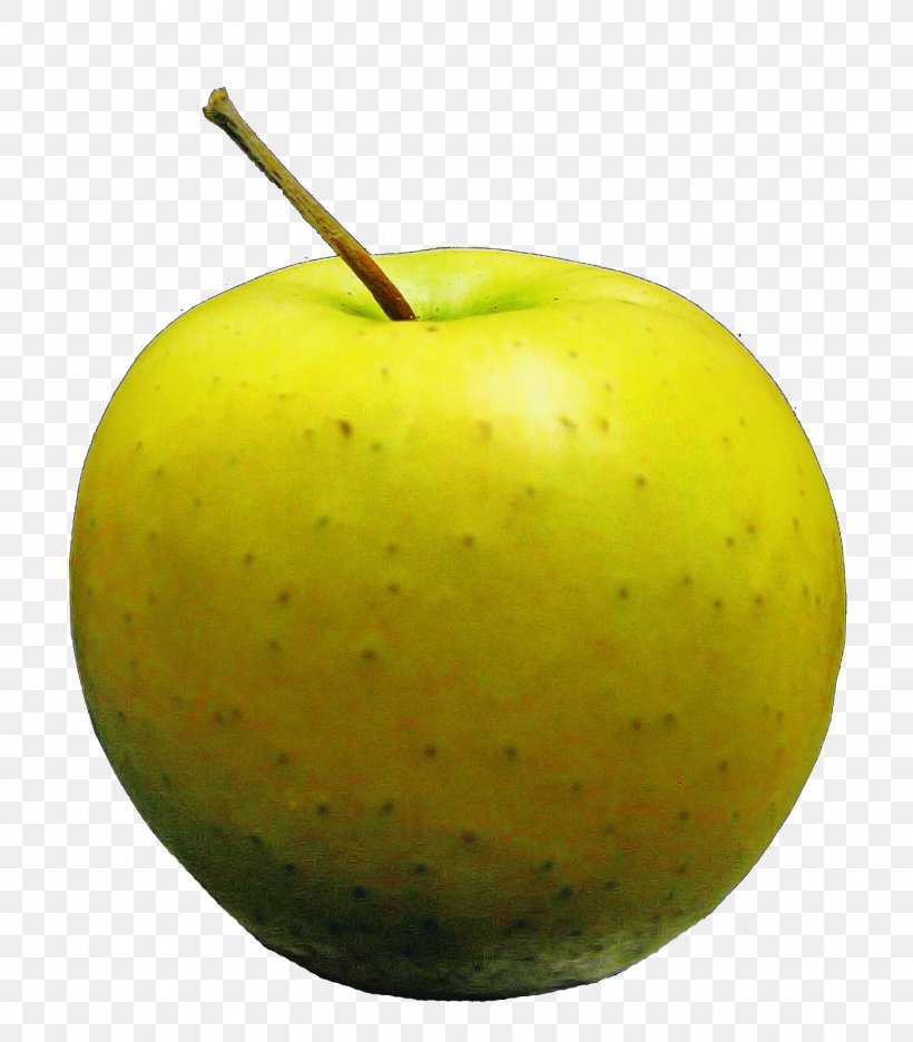 Granny Smith Apple Fruit Green Plant, PNG, 1401x1600px, Granny Smith, Apple, Food, Fruit, Green Download Free