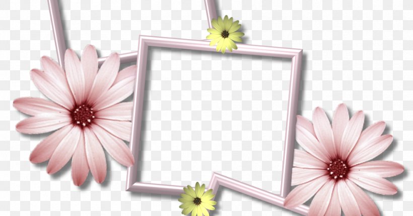Picture Frames Desktop Wallpaper Collage Clip Art, PNG, 986x518px, Picture Frames, Collage, Cut Flowers, Decor, Flower Download Free