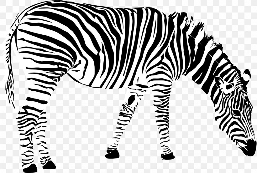 Grant's Zebra Clip Art, PNG, 1280x864px, Zebra, Animal Figure, Animation, Black, Black And White Download Free