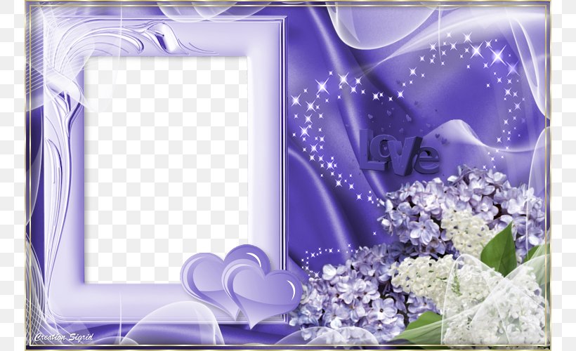 Picture Frame Photography, PNG, 750x500px, Picture Frame, Blog, Blue, Designer, Flower Download Free