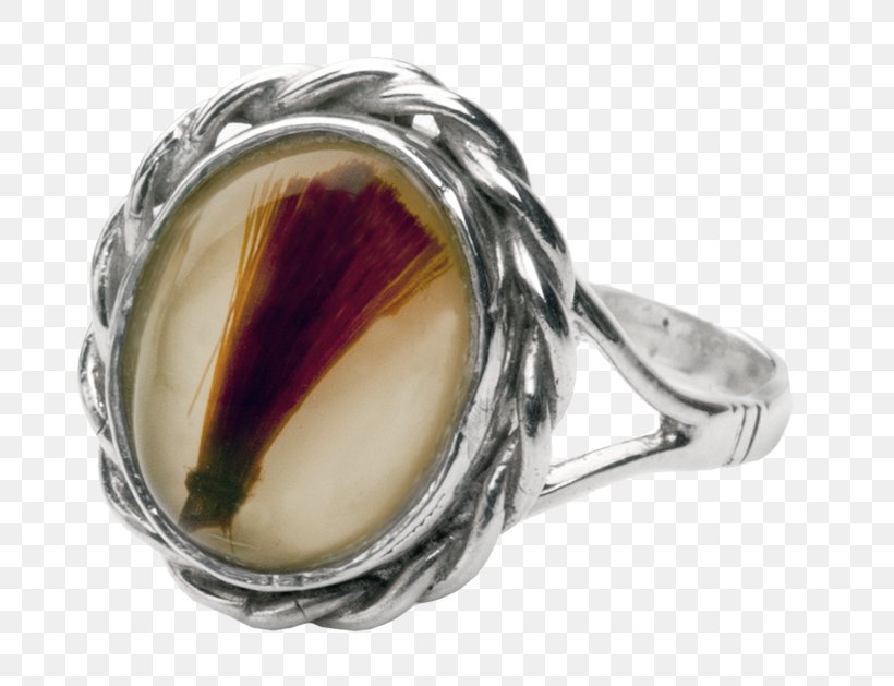 Ring Cremation Jewellery Funeral Lock Of Hair, PNG, 800x629px, Ring, Amber,  Caskets, Cemetery, Cremation Download Free