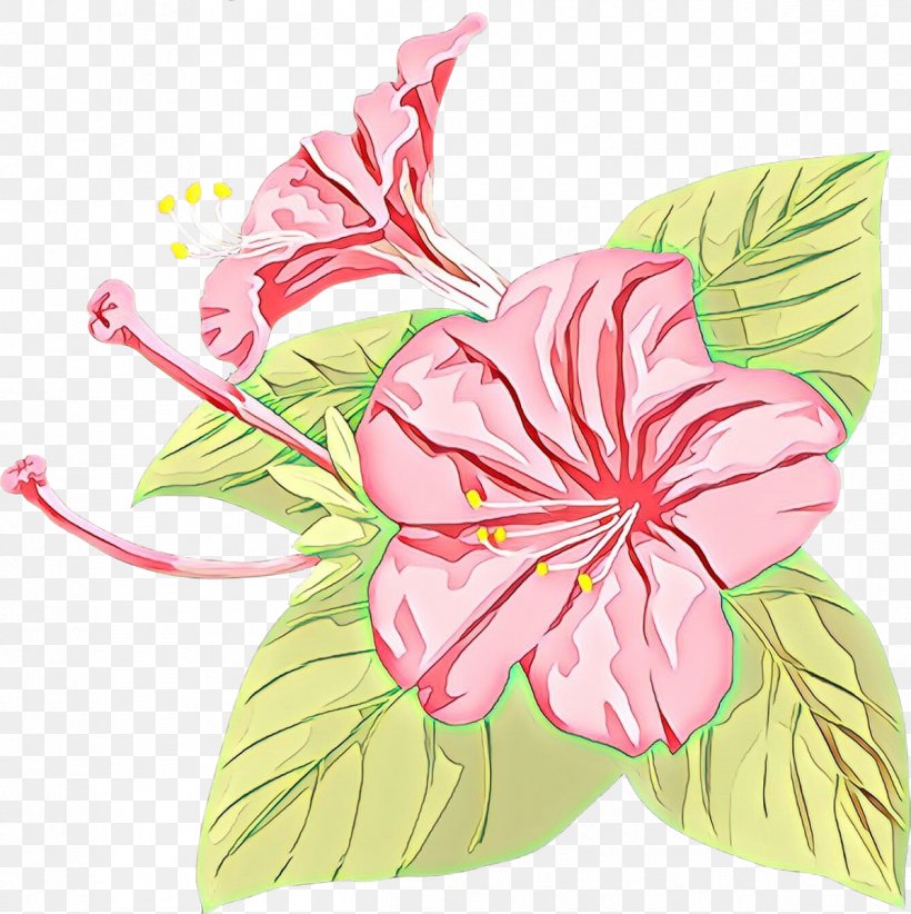 Rosemallows Clip Art Flower Japanese Morning Glory Petal, PNG, 1196x1200px, Rosemallows, Anthurium, Botany, Chinese Hibiscus, Common Morningglory Download Free