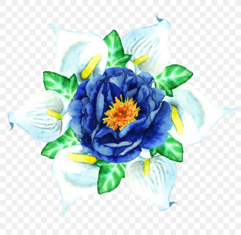 Cut Flowers Floral Design, PNG, 800x800px, Cut Flowers, Blue, Designer, Floral Design, Floristry Download Free