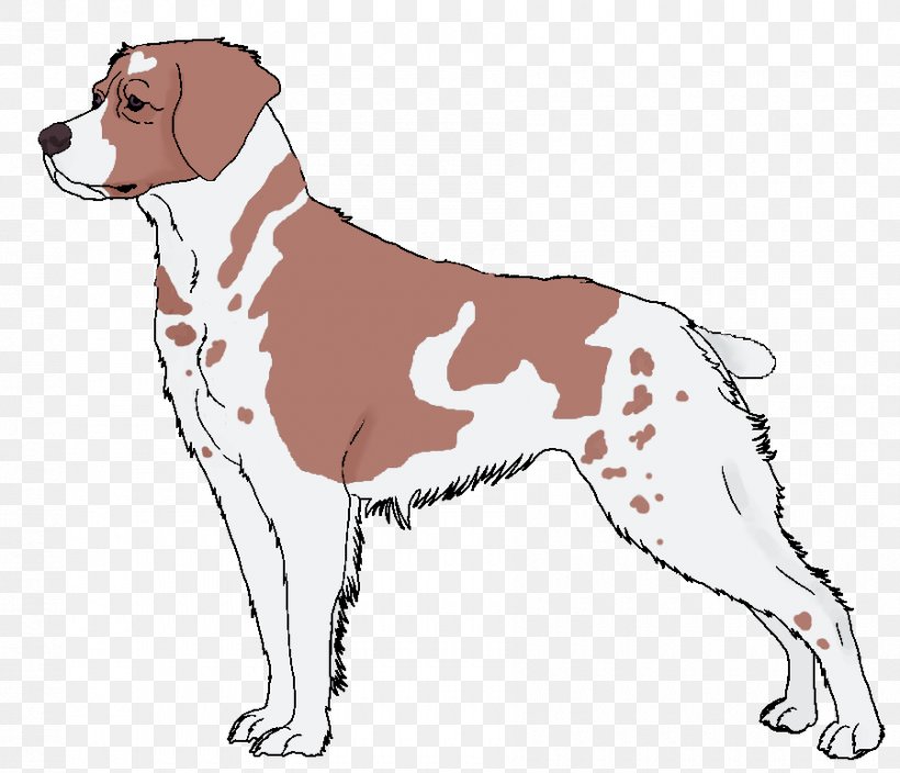 Dog Breed Companion Dog Spaniel Clip Art, PNG, 900x773px, Dog Breed, Breed, Brittany, Carnivoran, Companion Dog Download Free