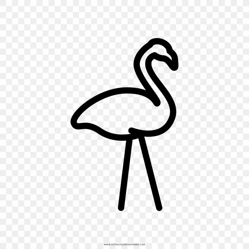 Drawing Flamingos Coloring Book Painting Water Bird, PNG, 1000x1000px, Drawing, Beak, Bird, Black And White, Coloring Book Download Free