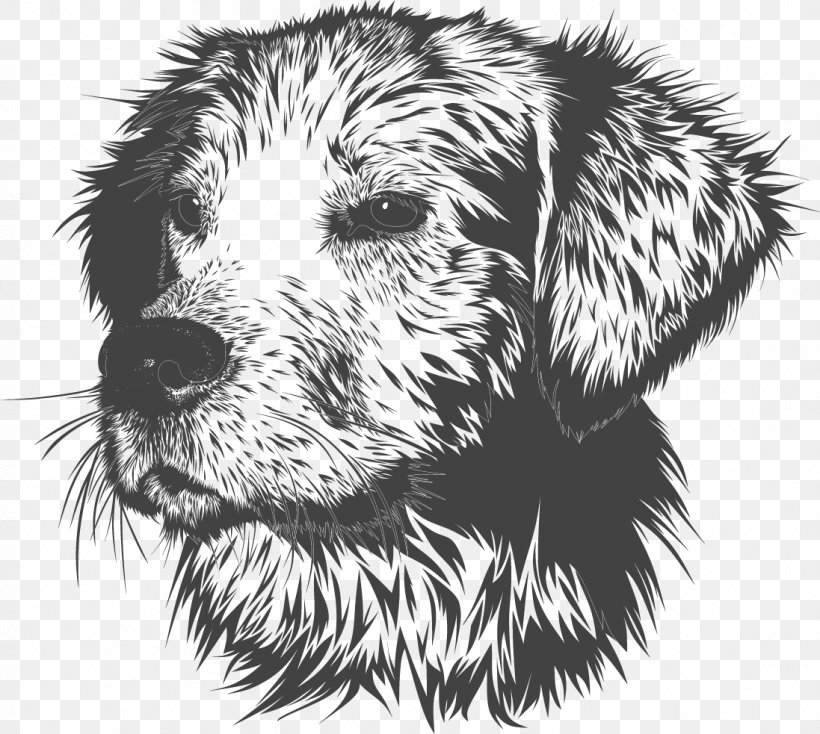 Golden Retriever Puppy Dog Training Pet Veterinarian, PNG, 1097x983px, Golden Retriever, Animal Training, Artwork, Black And White, Carnivoran Download Free