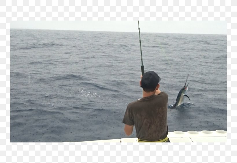 Jigging Fishing Rods Casting Fisherman Sea, PNG, 750x563px, Jigging, Boating, Casting, Casting Fishing, Fisherman Download Free