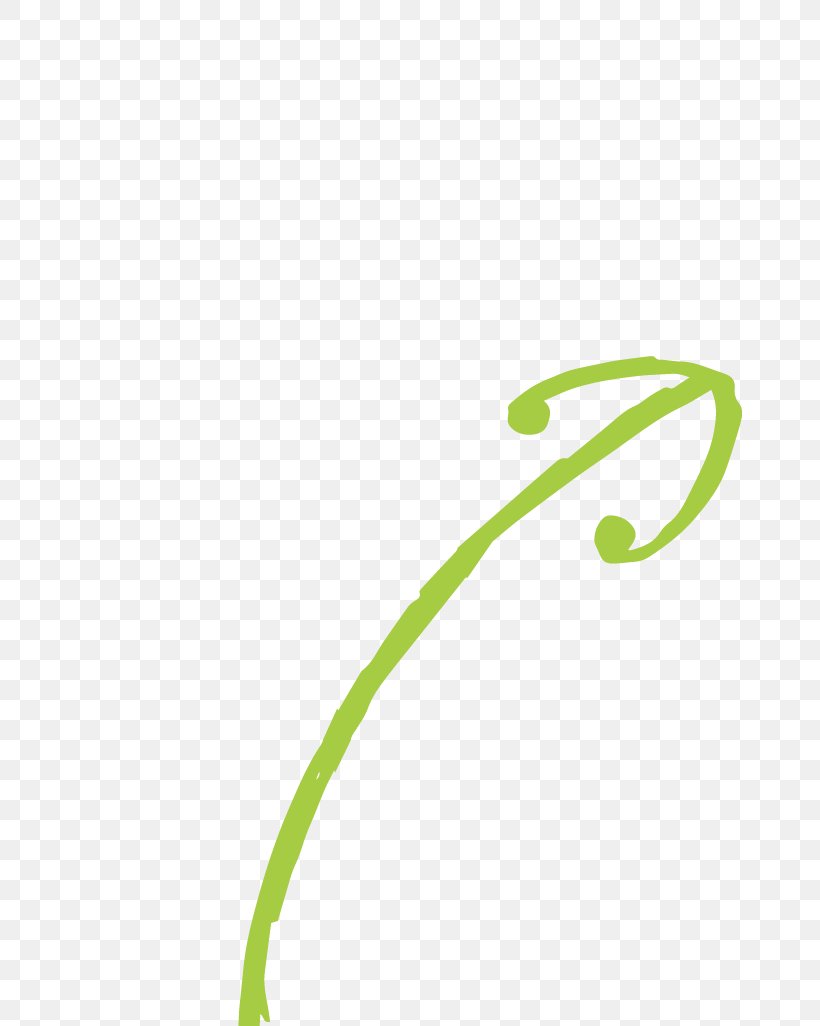 Product Design Leaf Green Graphics, PNG, 664x1026px, Leaf, Grass, Green, Plant, Plant Stem Download Free