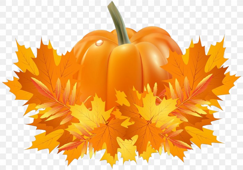 Autumn Leaf, PNG, 3000x2108px, Field Pumpkin, Autumn, Calabaza, Crookneck Pumpkin, Crookneck Squash Download Free