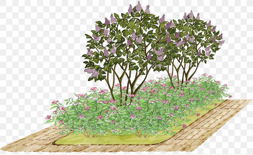 Flower Garden Lilac Meadowsweets Tree, PNG, 1000x613px, Flower Garden, Fence, Flowerpot, Garden, Grass Download Free