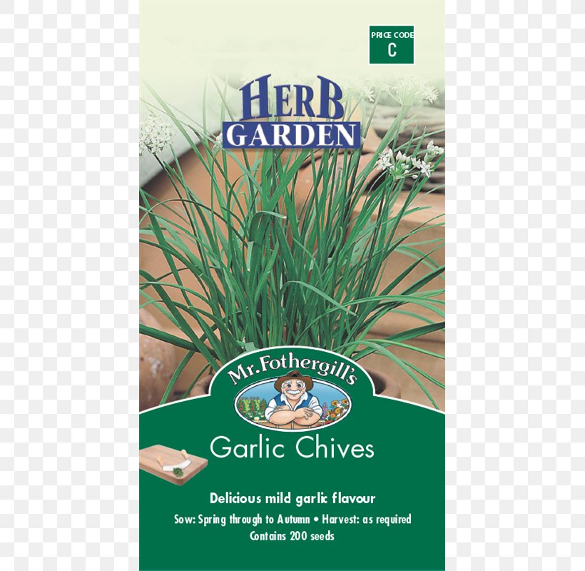 Garlic Chives Herb Vegetable, PNG, 800x800px, Chives, Companion Planting, Food, Garden, Garlic Download Free