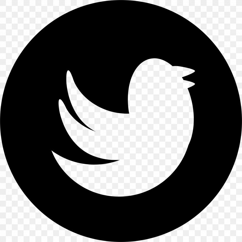 Logo YouTube, PNG, 2160x2160px, Logo, Beak, Bird, Black And White, Crescent Download Free