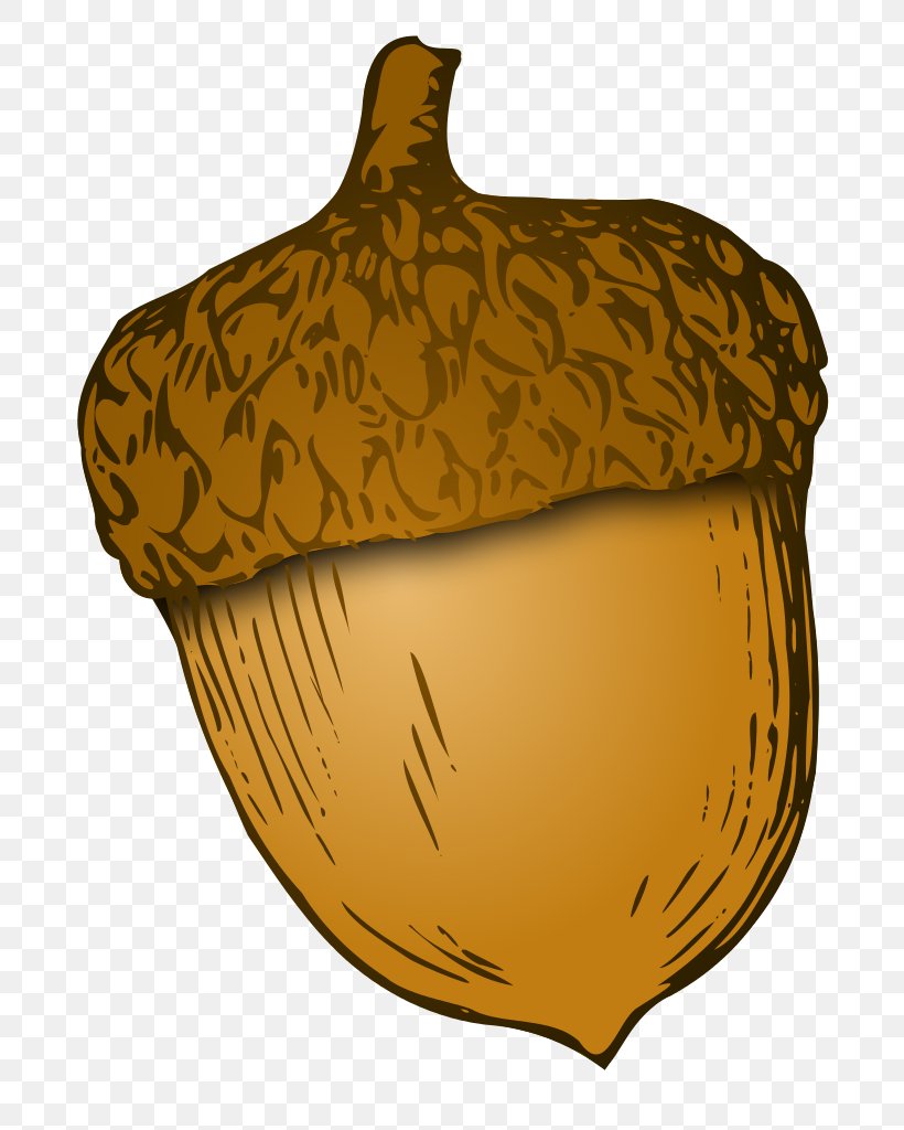 Acorn Clip Art, PNG, 785x1024px, Acorn, Commodity, Drawing, Food, Fruit Download Free