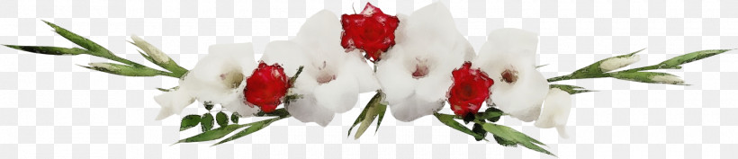 Garden Roses, PNG, 1500x325px, Flower Border, Cut Flowers, Floral Line, Flower, Flower Background Download Free