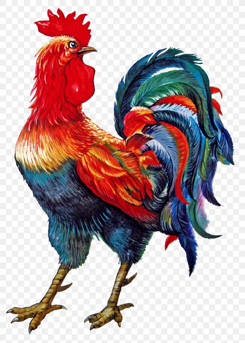 Rooster Chicken Symbol 0 Photography, PNG, 1141x1600px, 2018, Rooster, Beak, Bird, Chicken Download Free