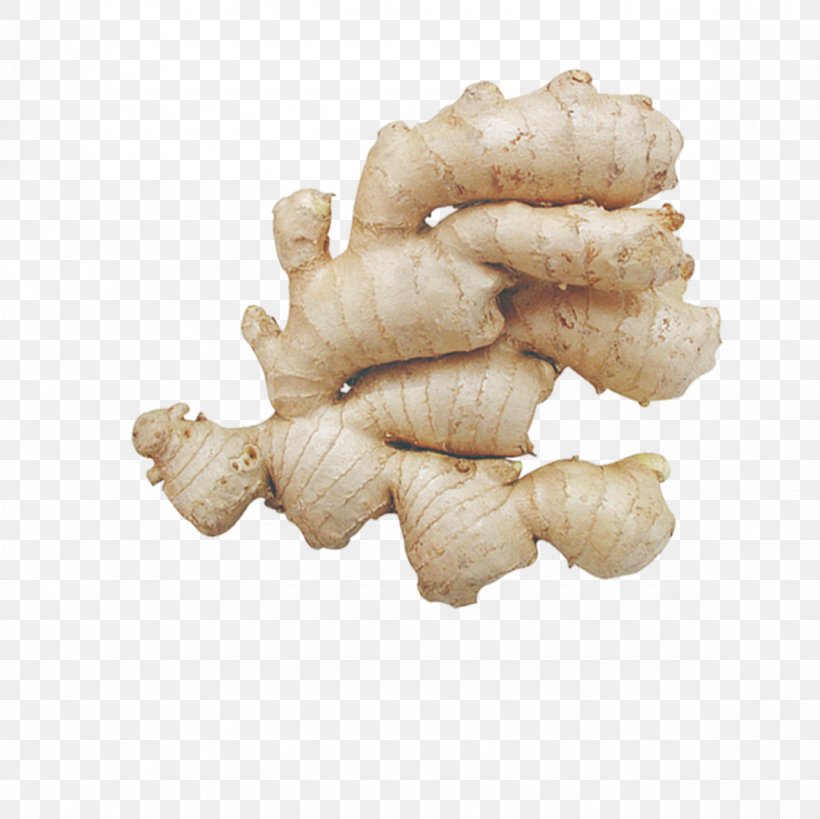 Root Vegetables Ginger Condiment, PNG, 1181x1181px, Root Vegetables, Condiment, Food, Galangal, Ginger Download Free