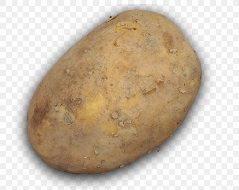 Russet Burbank Yukon Gold Potato, PNG, 1574x1254px, Russet Burbank, Food, Potato, Root Vegetable, Russet Burbank Potato Download Free