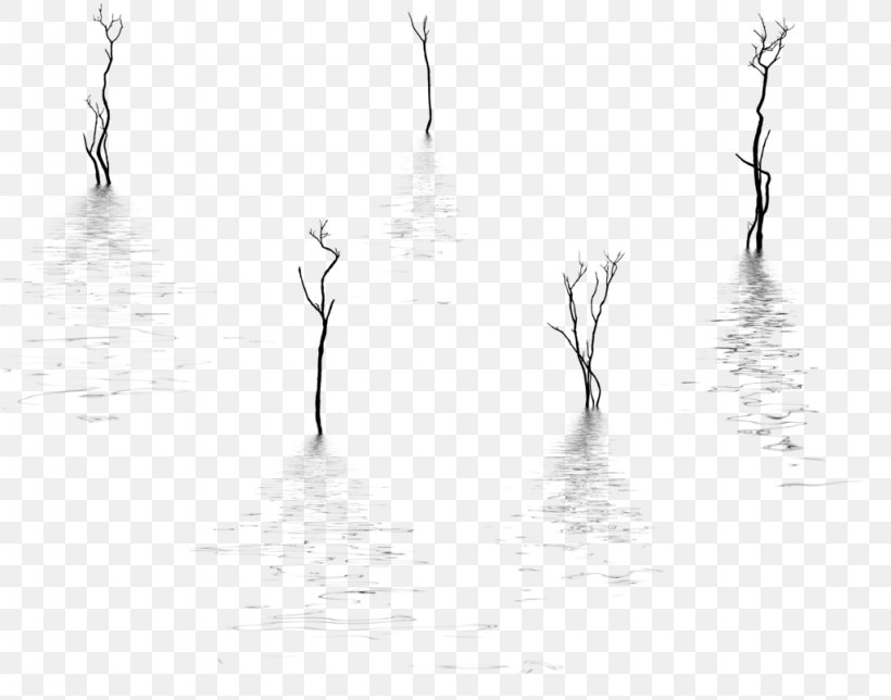 Water White, PNG, 1024x805px, Water, Black And White, Branch, Branching, Calm Download Free