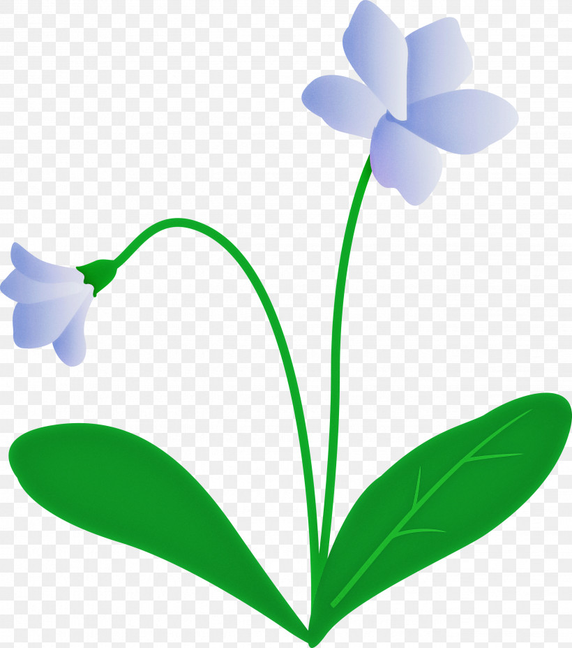 Violet Flower, PNG, 2649x3000px, Violet Flower, Biology, Flower, Leaf, Petal Download Free